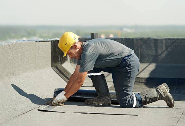 Best Crawl Space Insulation  in Paloma Creek, TX